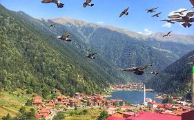 Uzungoel Oezbek Apart Ve Kafe